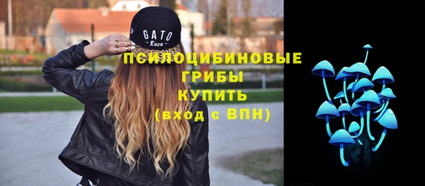 гидропоника Нягань