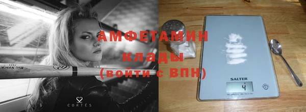 ПСИЛОЦИБИНОВЫЕ ГРИБЫ Няндома