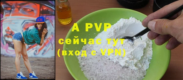 ПСИЛОЦИБИНОВЫЕ ГРИБЫ Няндома